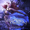 Concerts : Stream Of Passion