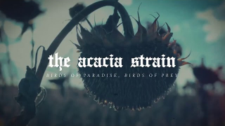 THE ACACIA STRAIN • "Birds Of Paradise, Birds Of Prey" (Audio)